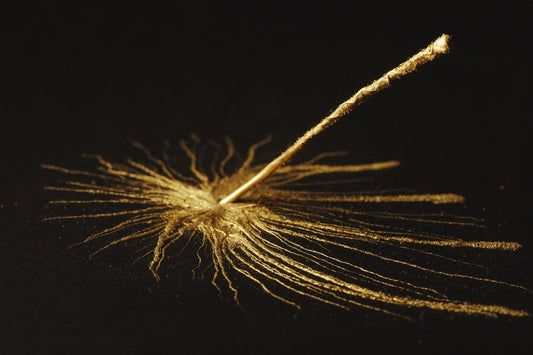 Delicate gold strands on black — protecting and regrowing your edges