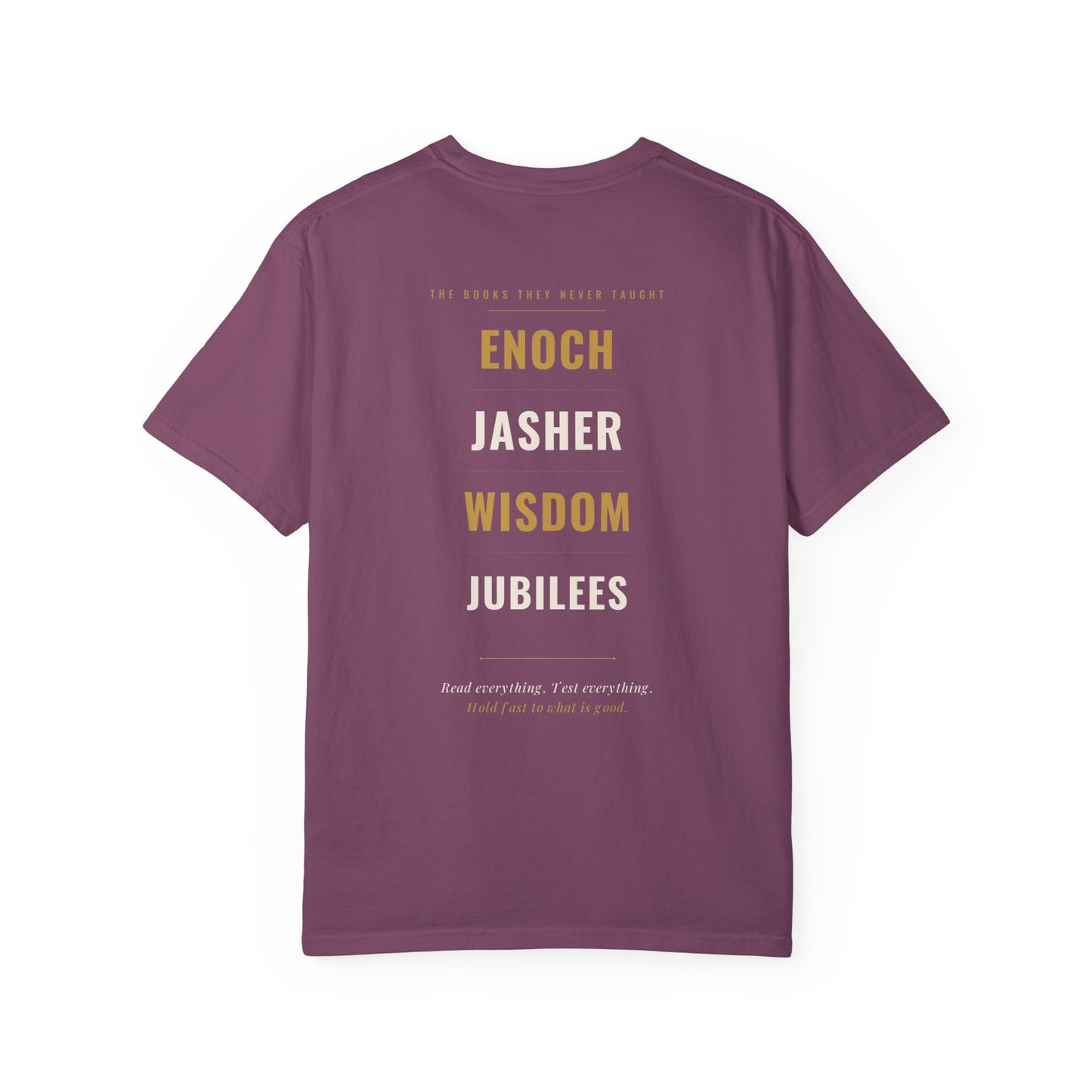 The Books They Never Taught Tee