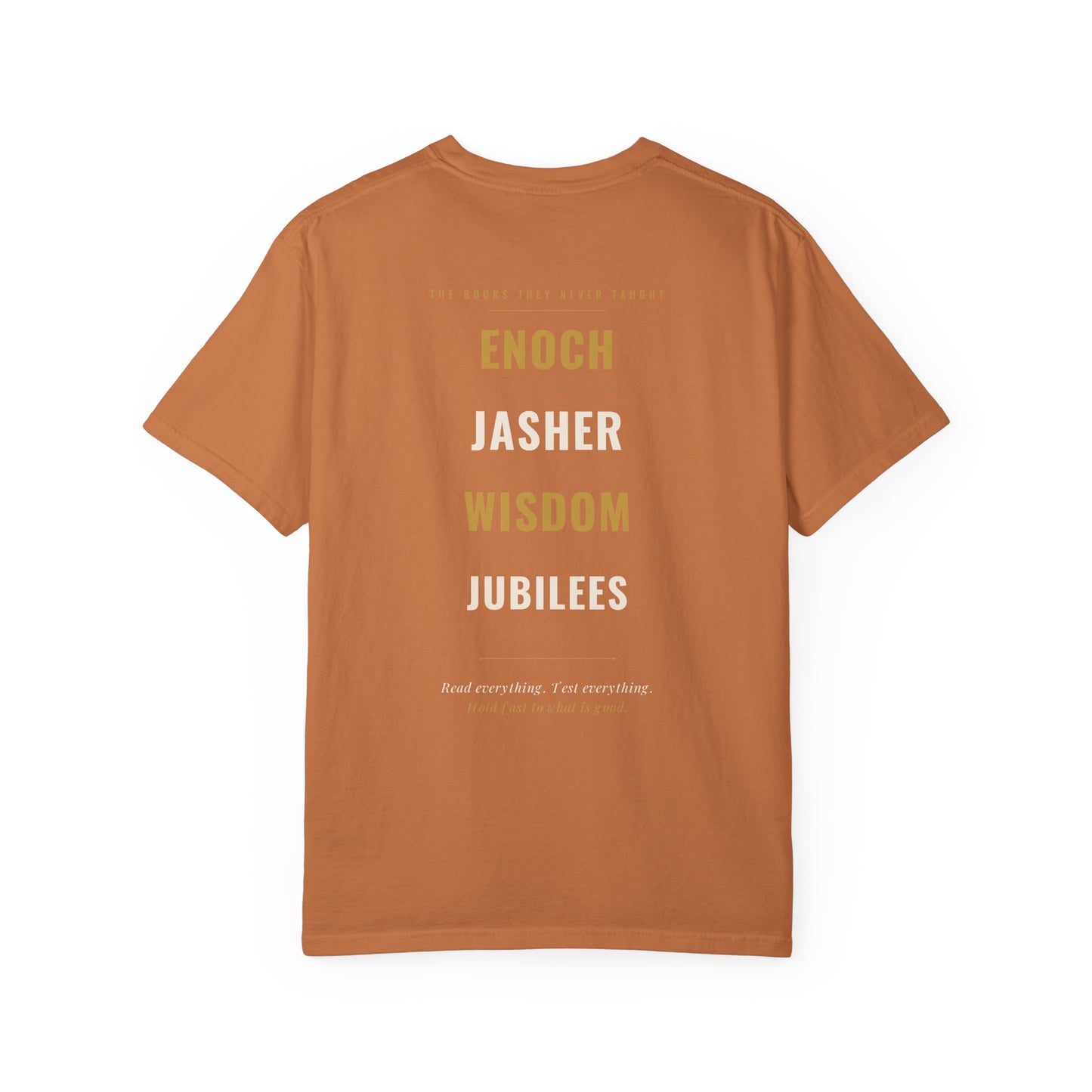 The Books They Never Taught Tee