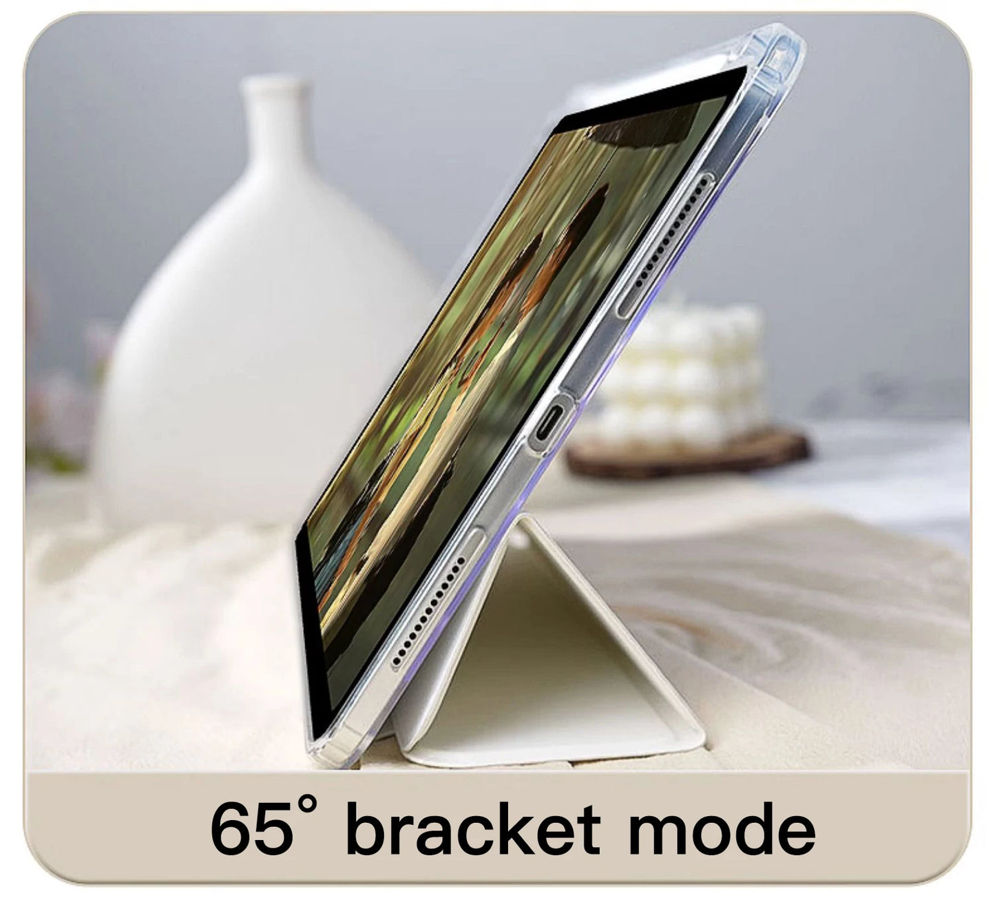 Multi-Model iPad Holder Case